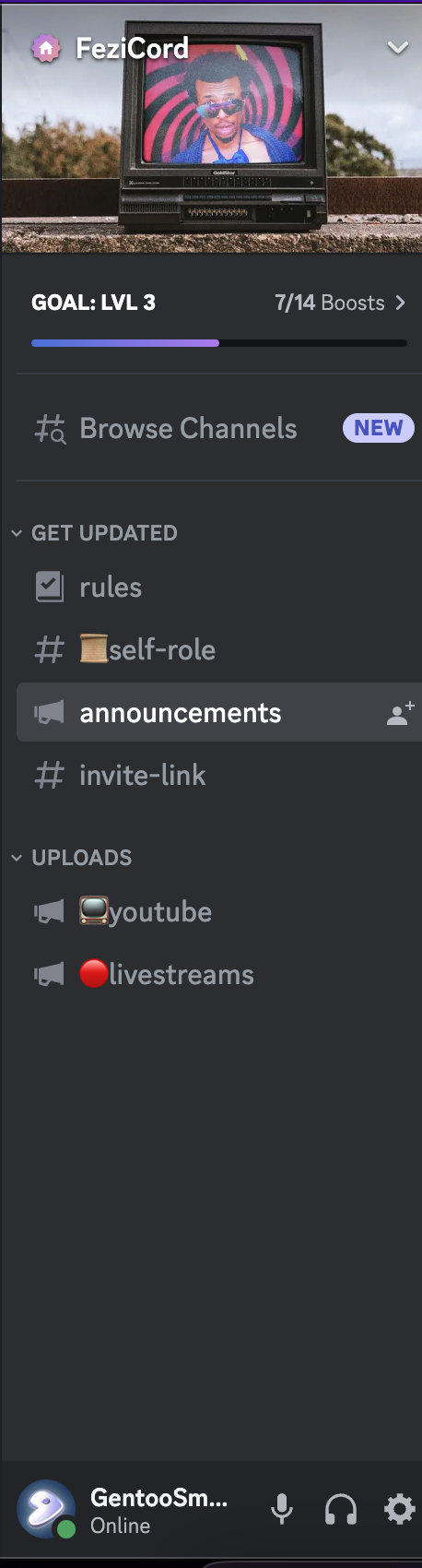 A screenshot of a discord server's (fezicord) channel list. The only channels avaliable are rules, self-role, announcements, invite-link, youtube and livestreams